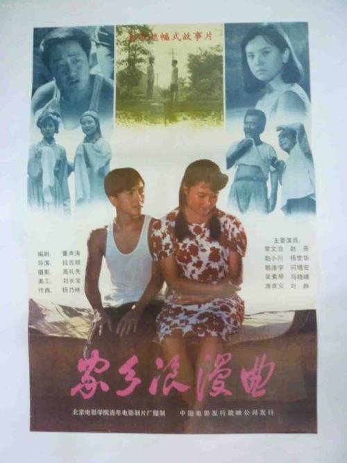 巴西驾驶证假的多少钱